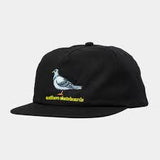 ANTIHERO LIL PIGEON SNAPBACK